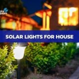 Solar Lights For House