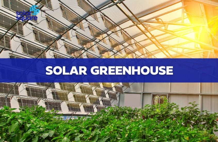 Everything You Need To Know About Solar Greenhouse