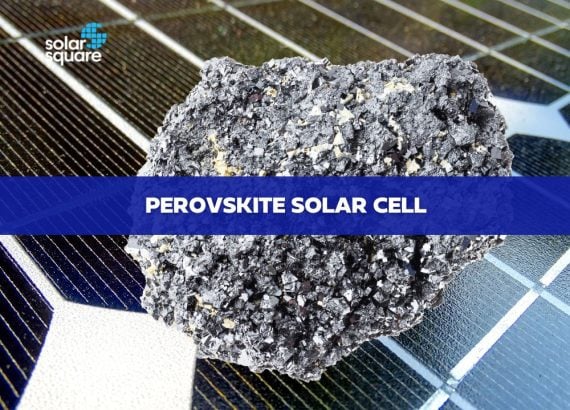 Learn about a Perovskite